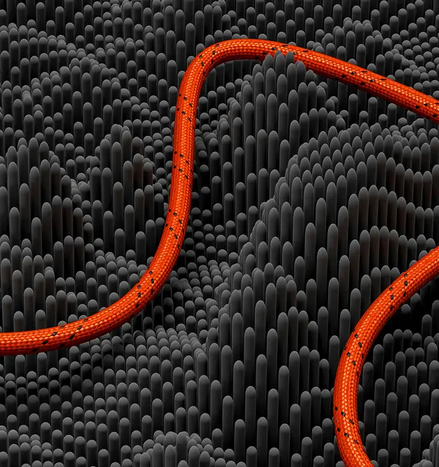 Creative digital agency workspace